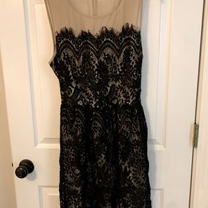 Lace Cocktail Dress